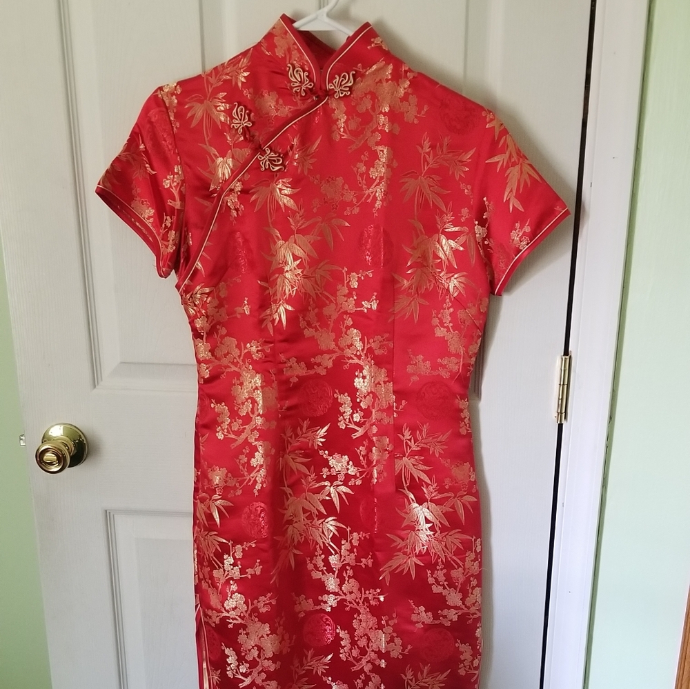 Beautiful Chinese dress